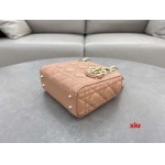 2025年早春高品質新品入荷 ディオール バッグ xiu工場