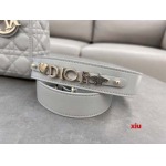 2025年早春高品質新品入荷 ディオール バッグ xiu工場