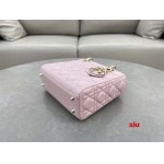 2025年早春高品質新品入荷 ディオール バッグ xiu工場