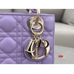 2025年早春高品質新品入荷 ディオール バッグ xiu工場