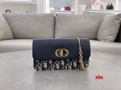 2025年早春高品質新品入荷 ディオール バッグ xiu工場