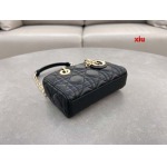 2025年早春高品質新品入荷 ディオール バッグ xiu工場