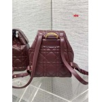 2025年早春高品質新品入荷 ディオール バッグ xiu工場