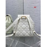 2025年早春高品質新品入荷 ディオール バッグ xiu工場