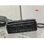 2025年早春高品質新品入荷 ディオール バッグ xiu工場