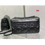 2025年早春高品質新品入荷 ディオール バッグ xiu工場