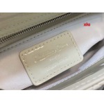 2025年早春高品質新品入荷 ディオール バッグ xiu工場