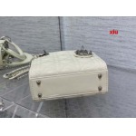 2025年早春高品質新品入荷 ディオール バッグ xiu工場