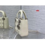 2025年早春高品質新品入荷 ディオール バッグ xiu工場