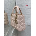 2025年早春高品質新品入荷 ディオール バッグ xiu工場