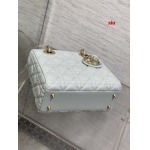 2025年早春高品質新品入荷 ディオール バッグ xiu工場