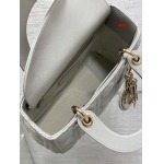 2025年早春高品質新品入荷 ディオール バッグ xiu工場