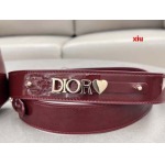 2025年早春高品質新品入荷 ディオール バッグ xiu工場