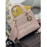 2025年早春高品質新品入荷 ディオール バッグ xiu工場