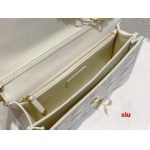 2025年早春高品質新品入荷 ディオール バッグ xiu工場