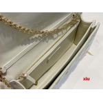 2025年早春高品質新品入荷 ディオール バッグ xiu工場