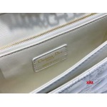2025年早春高品質新品入荷 ディオール バッグ xiu工場