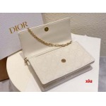 2025年早春高品質新品入荷 ディオール バッグ xiu工場