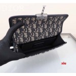 2025年早春高品質新品入荷 ディオール バッグ xiu工場