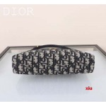 2025年早春高品質新品入荷 ディオール バッグ xiu工場