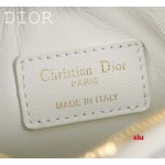 2025年早春高品質新品入荷 ディオール バッグ xiu工場