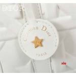 2025年早春高品質新品入荷 ディオール バッグ xiu工場
