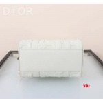 2025年早春高品質新品入荷 ディオール バッグ xiu工場