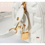 2025年早春高品質新品入荷 ディオール バッグ xiu工場