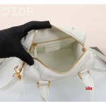 2025年早春高品質新品入荷 ディオール バッグ xiu工場