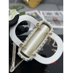 2025年早春高品質新品入荷 ディオール バッグ xiu工場