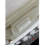 2025年早春高品質新品入荷 ディオール バッグ xiu工場