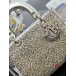 2025年早春高品質新品入荷 ディオール バッグ xiu工場