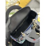 2025年早春高品質新品入荷 ディオール バッグ xiu工場