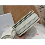 2025年早春高品質新品入荷 ディオール バッグ xiu工場
