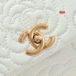 2025年早春人気新品入荷シャネル バッグ gui工場