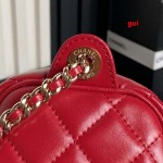 2025年早春人気新品入荷シャネル バッグ gui工場