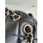 2025年早春人気新品入荷シャネル バッグ gui工場