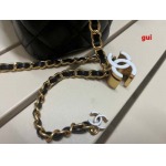 2025年早春人気新品入荷シャネル バッグ gui工場