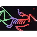 2025年1月9日早春新品入荷 ARCTERYX 半袖 Tシャツ FF工場