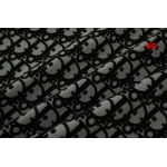 2025年1月10日早春新品入荷ディオール  半袖 Tシャツ BG工場