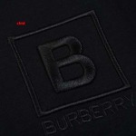 2025年1月17日春夏新品入荷バーバリー 半袖 Tシャツ CHIDAO工場