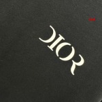 2025年1月17日春夏新品入荷ディオール  半袖 Tシャツ CHIDAO工場