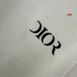 2025年1月17日春夏新品入荷ディオール 半袖 Tシャツ CHIDAO工場