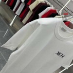 2025年1月17日春夏新品入荷ディオール 半袖 Tシャツ CHIDAO工場