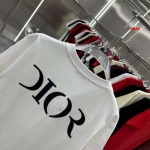 2025年1月17日春夏新品入荷ディオール 半袖 Tシャツ CHIDAO工場