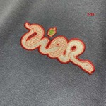 2025年1月20日春夏原版復刻新品入荷ディオール 半袖 Tシャツ7-16工場