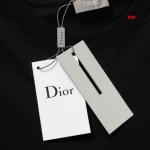 2025年1月20日春夏新品入荷ディオール  半袖 TシャツDW工場