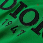 2025年1月20日春夏新品入荷ディオール 半袖 TシャツDW工場