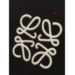 2025年1月20日春夏新品入荷LOEWE  半袖 TシャツDW工場