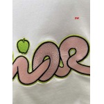 2025年1月20日春夏新品入荷ディオール 半袖 TシャツDW工場